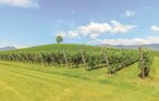 Ferienhaus - Arqua' Petrarca , Italien - IVC287 26