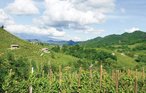 Castelfranco Veneto