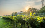 Feriehus - Caprino Veronese , Italia - IVG435 20