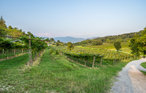 Feriehus - Caprino Veronese , Italia - IVG435 21