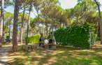 Ferienwohnung - Bibione , Italien - IVK747 10