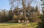 Feriehuse - Marielyst , Danmark - K15772 8
