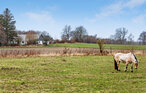 Feriehus - Langebæk/Kalvehave , Danmark - K51019 10
