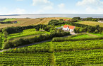 Feriehus - Næsbydale , Danmark - L50221 11