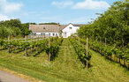 Feriehus - Næsbydale , Danmark - L50221 12