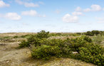Feriehus - Sønderho , Danmark - M21273 14