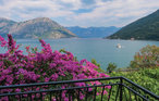 Kotor-Morinj