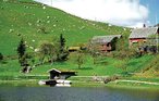 Semesterlägenhet - Sandnes/Vassvik , Norge - N15205 21