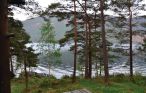 Semesterhus - Suldal/Vanvik , Norge - N16342 5