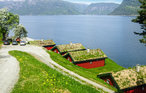 Semesterhus - Utne , Norge - N19231 13