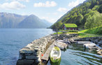 Semesterhus - Utne , Norge - N19259 44
