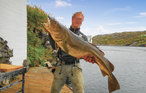 Lejlighed - Sund/Sotra , Norge - N20015 22