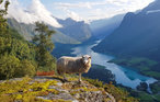 Feriehuse - Olden/Stryn , Norge - N25063 30