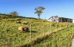 Feriehus - Tansøy/Florø , Norge - N25078 7