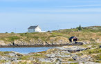 Ferienhaus - Smøla , Norwegen - N29268 1