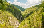 Ferienhaus - Renåfjellet/Rendalen , Norwegen - N30165 19