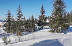 Feriehuse - Trysil , Norge - N30061 14