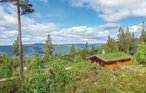 Semesterhus - Renåfjellet/Rendalen , Norge - N30143 16