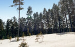 Feriehus - Finnskogen/Skasenden , Norge - N30283 27
