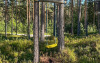 Feriehus - Finnskogen/Skasenden , Norge - N30283 14