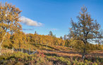 Feriehus - Rondane/Nord-Fron , Norge - N31368 9