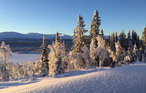 Semesterhus - Vinstra/Fefor , Norge - N31215 7