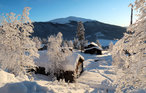 Feriehuse - Bakketun Heidal , Norge - N31130 20