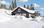 Feriehus - Sjusjøen , Norge - N31928 10