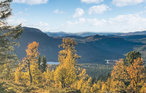 Feriehus - Rondane/Nord-Fron , Norge - N31368 12