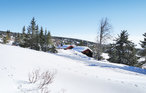 Ferienhaus - Nordseter/Lillehammer/Sjusjøen , Norwegen - N31983 27