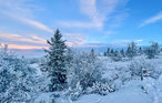 Feriehus - Gålå , Norge - N31386 15