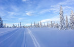 Semesterhus - Sjusjøen , Norge - N31813 9