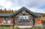 Semesterhus - Dagalifjellet/Uvdal , Norge - N33168 3