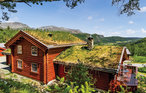 Feriehuse - Hemsedal , Norge - N33091 2