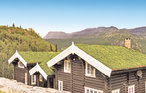 Feriehuse - Hemsedal , Norge - N33500 8