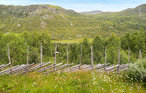 Feriehuse - Hemsedal , Norge - N33455 14