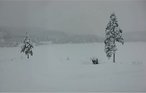 Semesterhus - Froland/Vågsdalsfjorden , Norge - N34223 16