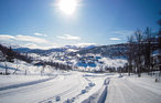 Ferienhaus - Rauland , Norwegen - N35190 14