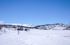 Ferienhaus - Rauland , Norwegen - N35190 16