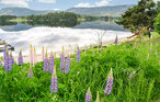 Feriehuse - Vrådal/Vråliosen , Norge - N35543 23
