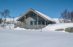 Ferienhaus - Haukelifjell/Vågslid , Norwegen - N35161 1