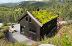 Ferienhaus - Haukelifjell , Norwegen - N35648 2