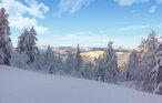 Ferienhaeuser - Gautefall , Norwegen - N35753 15