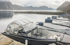 Feriehus - Herad/Farsund , Norge - N36611 30