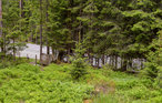 Feriehus - Hurdal , Norge - N37276 9