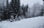 Feriehus - Hurdal , Norge - N37276 11