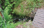 Feriehus - Hurdal , Norge - N37276 16