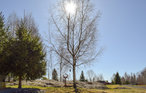 Feriehus - Aremark , Norge - N37389 12