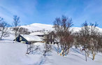 Ferienhaus - Oppdal/Skarvatnet , Norwegen - N38156 10