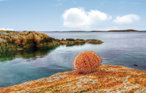 Semesterhus - Vallersund , Norge - N38060 28